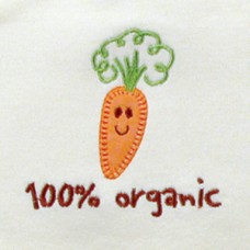 Hudson Baby Organic Bodysuit - Carrot